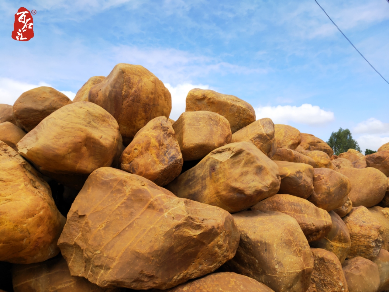 黃蠟石特級(jí)園林石 造景 廣東黃蠟石生產(chǎn)基地