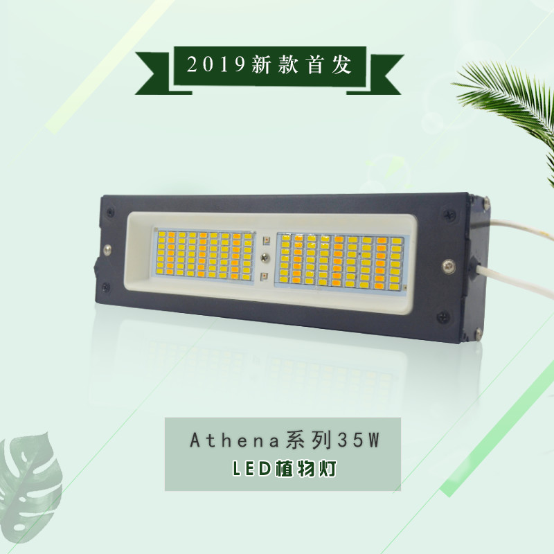承越35W外貿(mào)貨源led植物生長(zhǎng)燈大棚室內(nèi)蔬菜瓜果種植日照燈