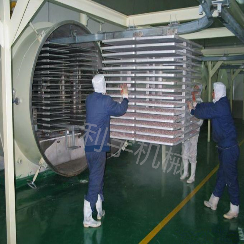 馬來西亞燕窩烘干機 真空冷凍干燥設(shè)備