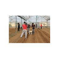 蔬菜播種機精播器小籽粒蔬菜播種機我愛發明田園播種機