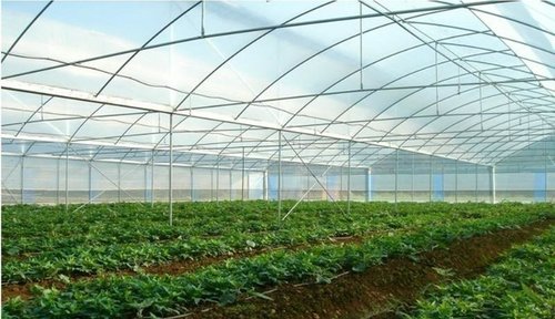 廣西養殖大棚廠家直銷-廣西高性價養殖大棚